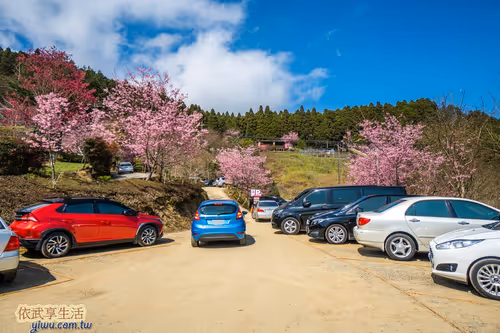 Item #100744422725674417057824683306763013505668843176654858816283483939529094594561 Media