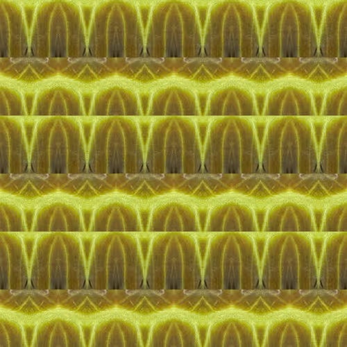 Item #39966487924636971446213751884402841618391351939627866596427130293536199540737 Media