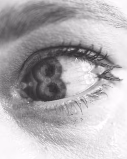 Item #22261332165349441295163190501737457577187483114464994700747766222490676756481 Media