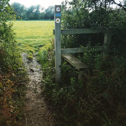 Item #105237010342582609876748436582366170093723610565651913513256945299577519472641 Media