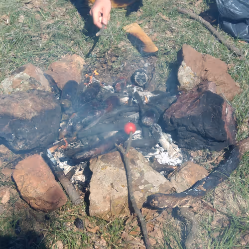 Untitled Collection #36397114