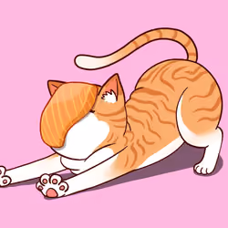 Salmon Cat