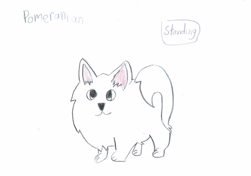 Parker the Pom 