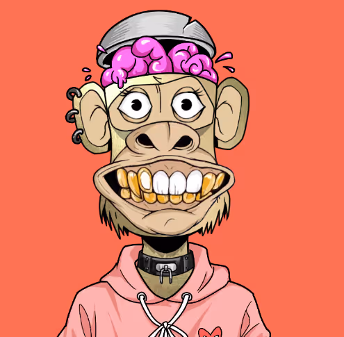 27149549031450094078354678932849847722098988145698472368535515973892502978561