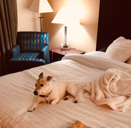 Item #5985210497355107417265215381210579199842884272282595265964883396816795598849 Media