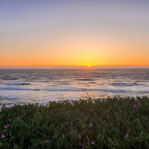 Coastalsunsets