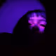 81405097856224057182297248317578340147902128321324297994645429220413664133121