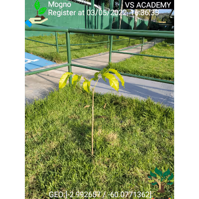 Item #8500196597889277390194123329501889087166328879864934763448348762143662800897 Media