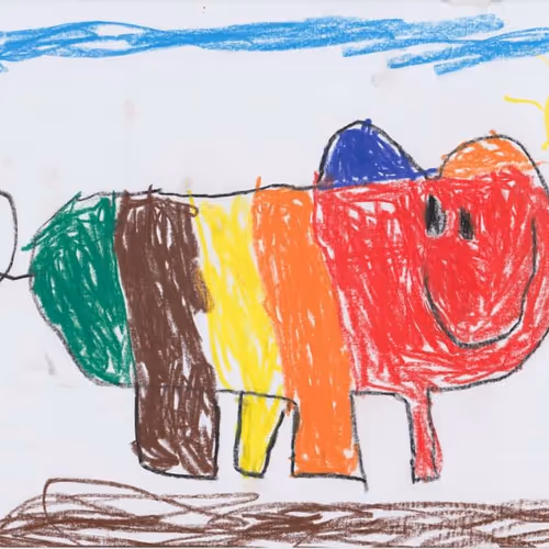 MaskedLady Collection