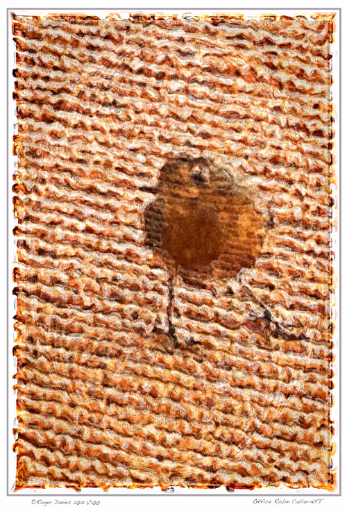 Item #6968899724388266606176016145545160509277227480062482001621938809609966846052 Media