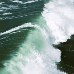 The Wave.
