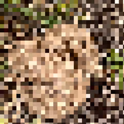 2850415134272365380187775685678842410458265265709128331682257524967467909121