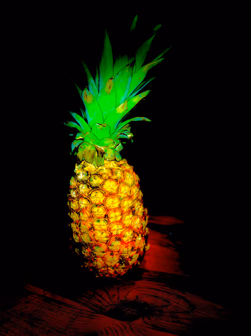 Item #71977679437914570587944804398027631852132377710496257291130818485944613601281 Media