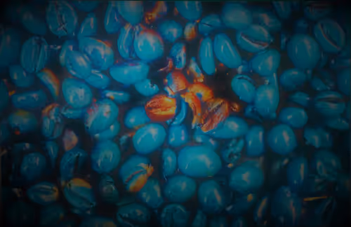 Item #39425846421802280996231740338929997167545085552399292352466571964788926054401 Media