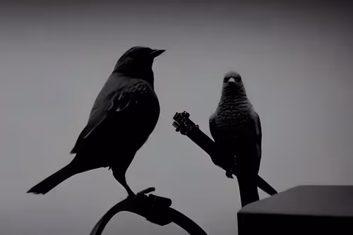 Item #66854532081804055969478672061528488382539568241317842572859772236128399130724 Media