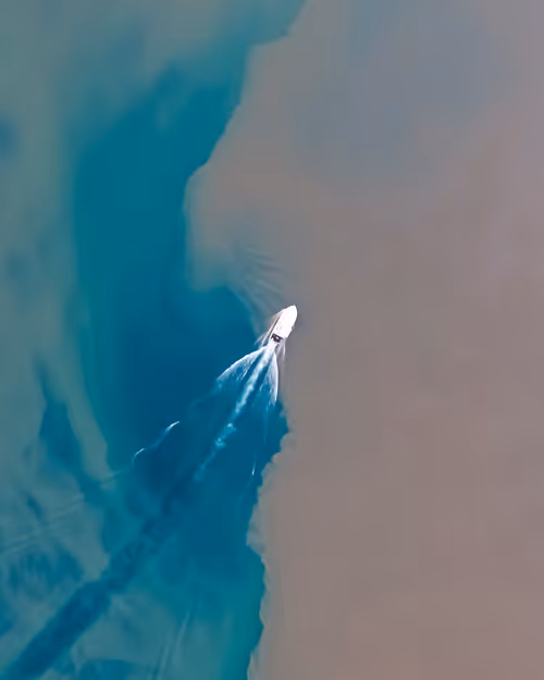 Item #100600280271040798317723628260513137156606623100883316454227271980332198395905 Media