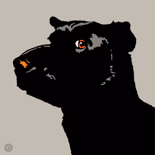 Item #1471147628704737889438767133014226167945868547252600766557675657764465016833 Media