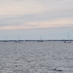 Sailboat and Co. Punta Gorda, Florida