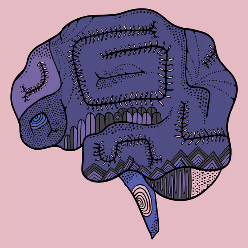 Theanatomicalproject