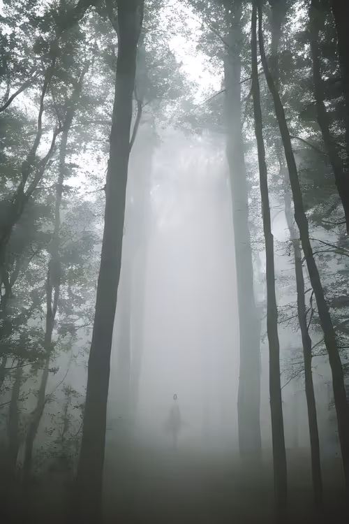 Item #3887115422047443630545464223791812627069003321479925378217031274849368014849 Media