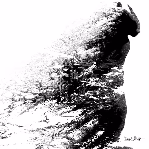 DarkMythst Collection