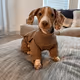 Bean The Weiner