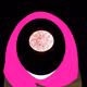 2897020766937689102462769105483231510697311649753634650255831291725969620993