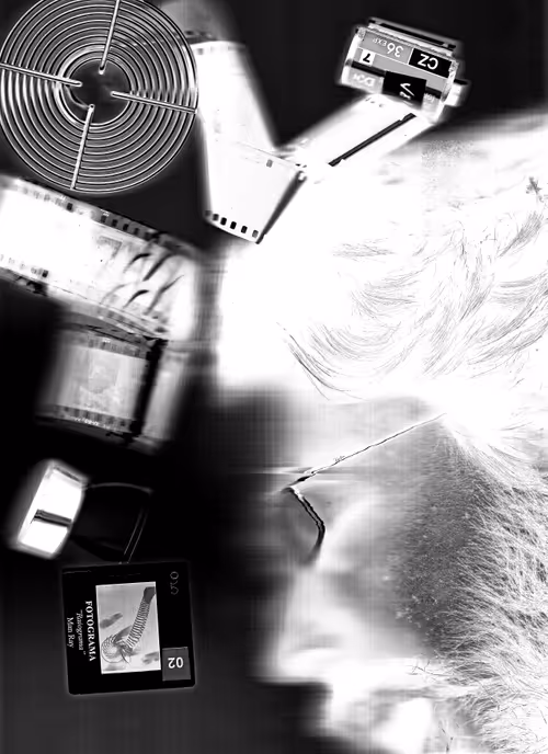 Item #105836017771423557183931558277920297823919466206112556630061826386190221180929 Media