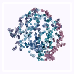 107937117699900001194099939943306584939867407144504846123696048328974060748801