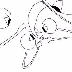 96280539433794011389606009945549423943958703406408210415126716938173500358657