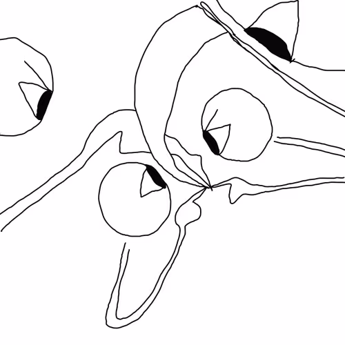 96280539433794011389606009945549423943958703406408210415126716938173500358657