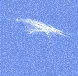 Item #27044075491674924967452371734748529417942393112480077754059845670592176979979 Media