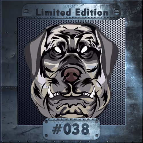 Item #101294327618999220153397763934219678560281744640955096170623097395650343469057 Media