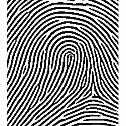 Fingerprint #09