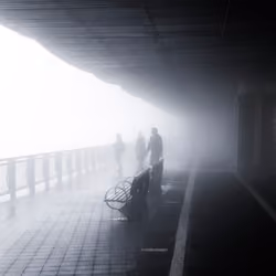 Fog season #021