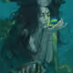 Fish of the universe