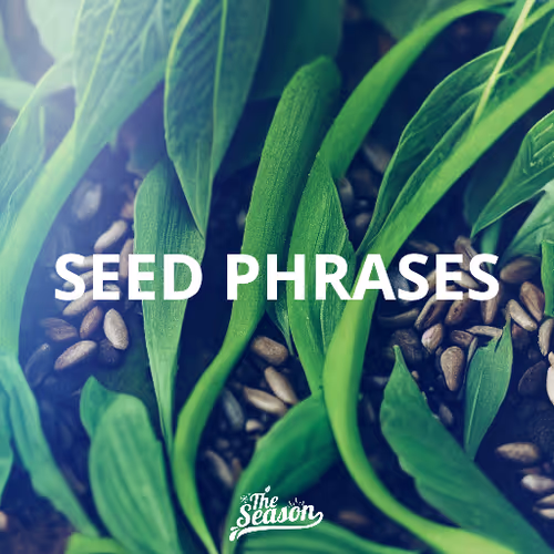 Seedphrasessingles
