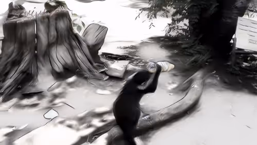 Item #94043160171262060061437071390012762444872149668666996053657412778025503686657 Media