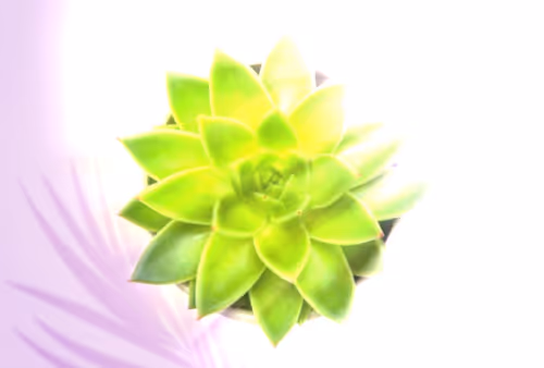 Item #8607677958191038044004830040679912821884152676576415147527512829852227993601 Media