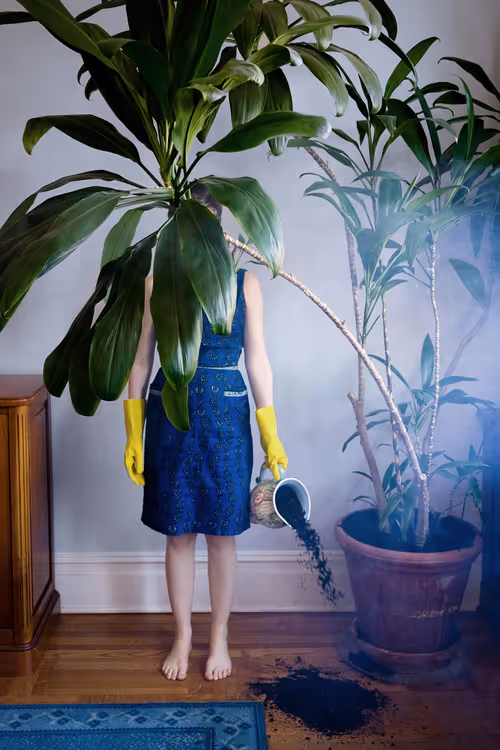 Item #66199238370220987817260704809787442862597280032429936774217036753420622495745 Media