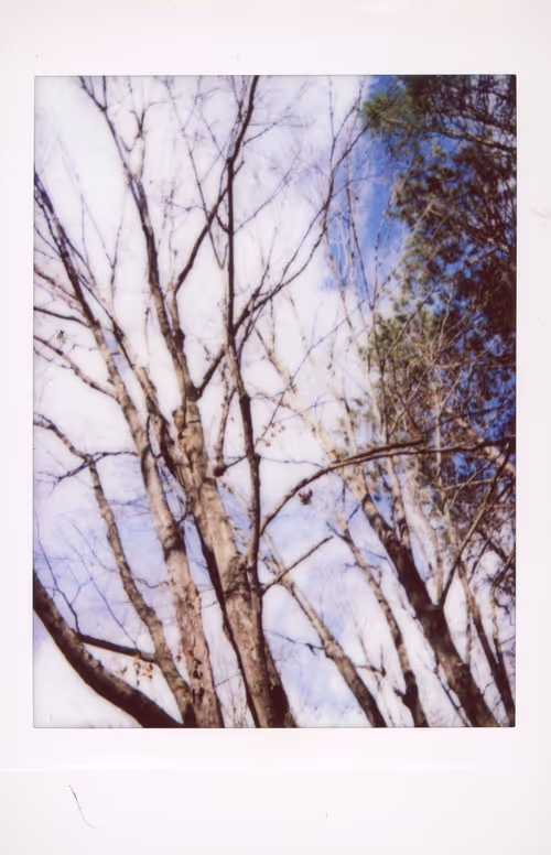 Item #106002358755633072780688393344306535131574018413591107715624238088832268894209 Media