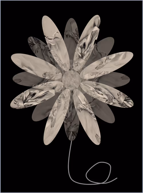 Item #72313549958186400623516579222099753259770590924826109399862157945735544307713 Media