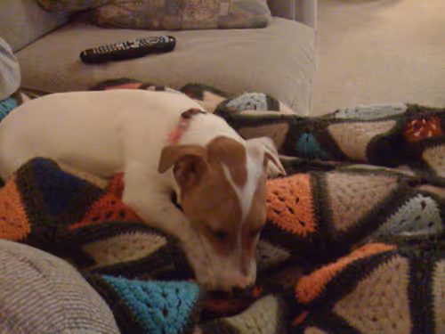 Item #5985210497355107417265215381210579199842884272282595265964883368229493276673 Media