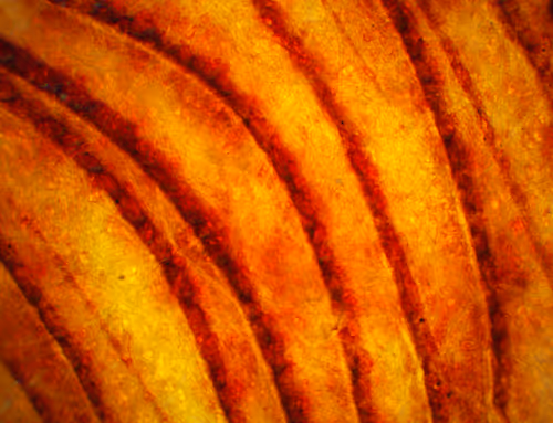 Item #71646257518770613568983710813551014237803002136866425209291834282480284729345 Media