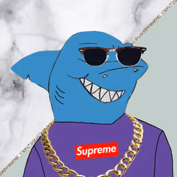 Shark kz artist #6