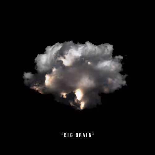 #1 ☁ "Big Brain"