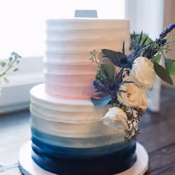 Twin Cake