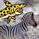 Digi Sea Creatures