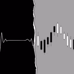 The line