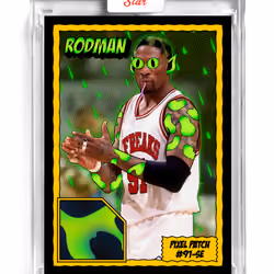 Rodman (#91-SE)